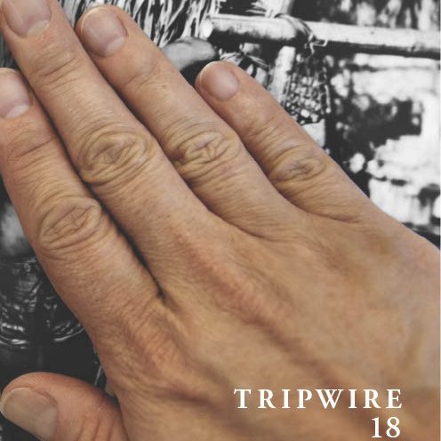 cover of tripwire 18, a hand obscures a b/w photo, artwork by stephanie syjuco